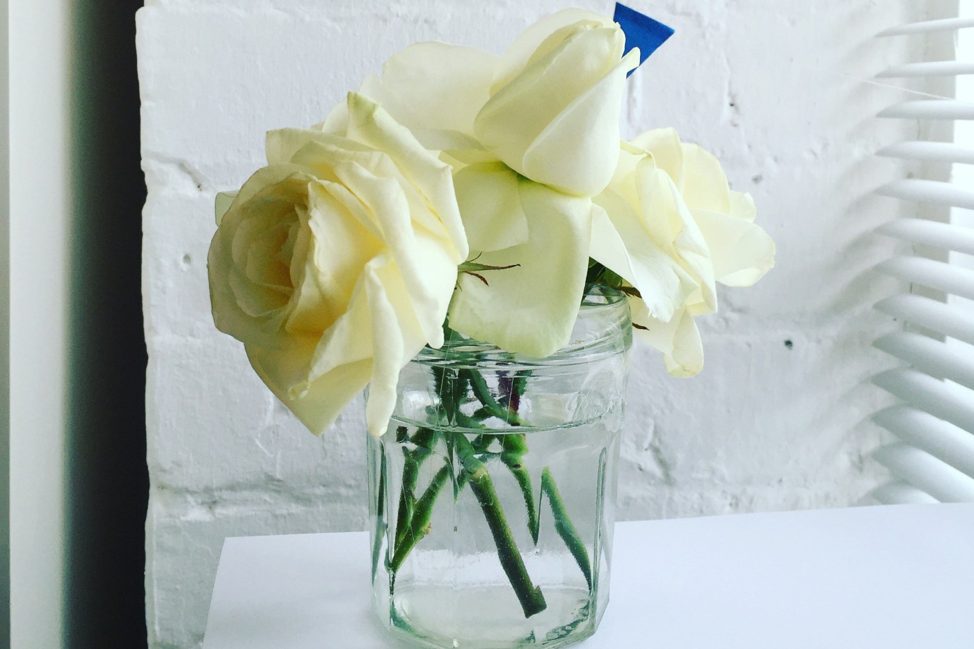 White roses in a jam jar