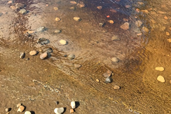 Shallows of the Tyne at Corbridge